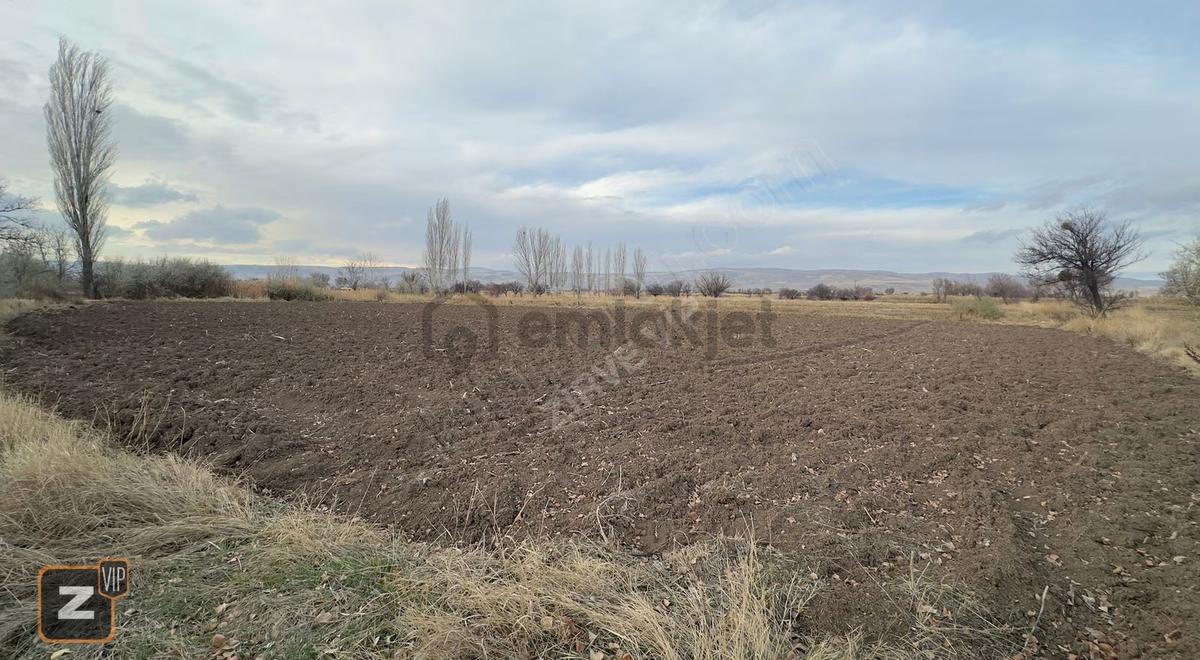 Gömeç'de Yol Kenarı Sulu Tarıma Uygun Satılık Tarla - 2