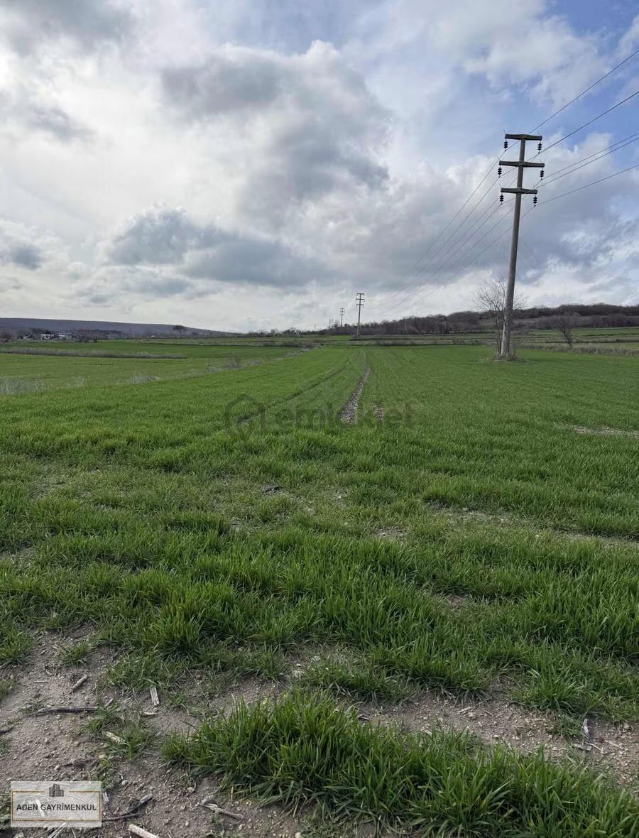 Vize - Pazarlı 11 Adet 250m2 Hisse - 8