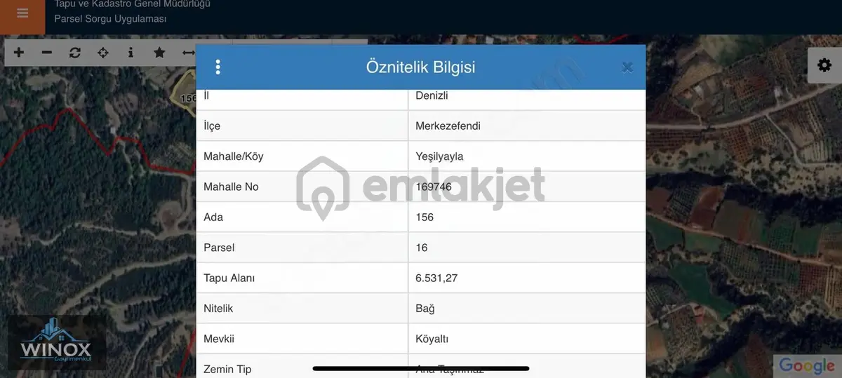 Wınox Tan Yeşilyayla Da Bölgenin En Ucuzu