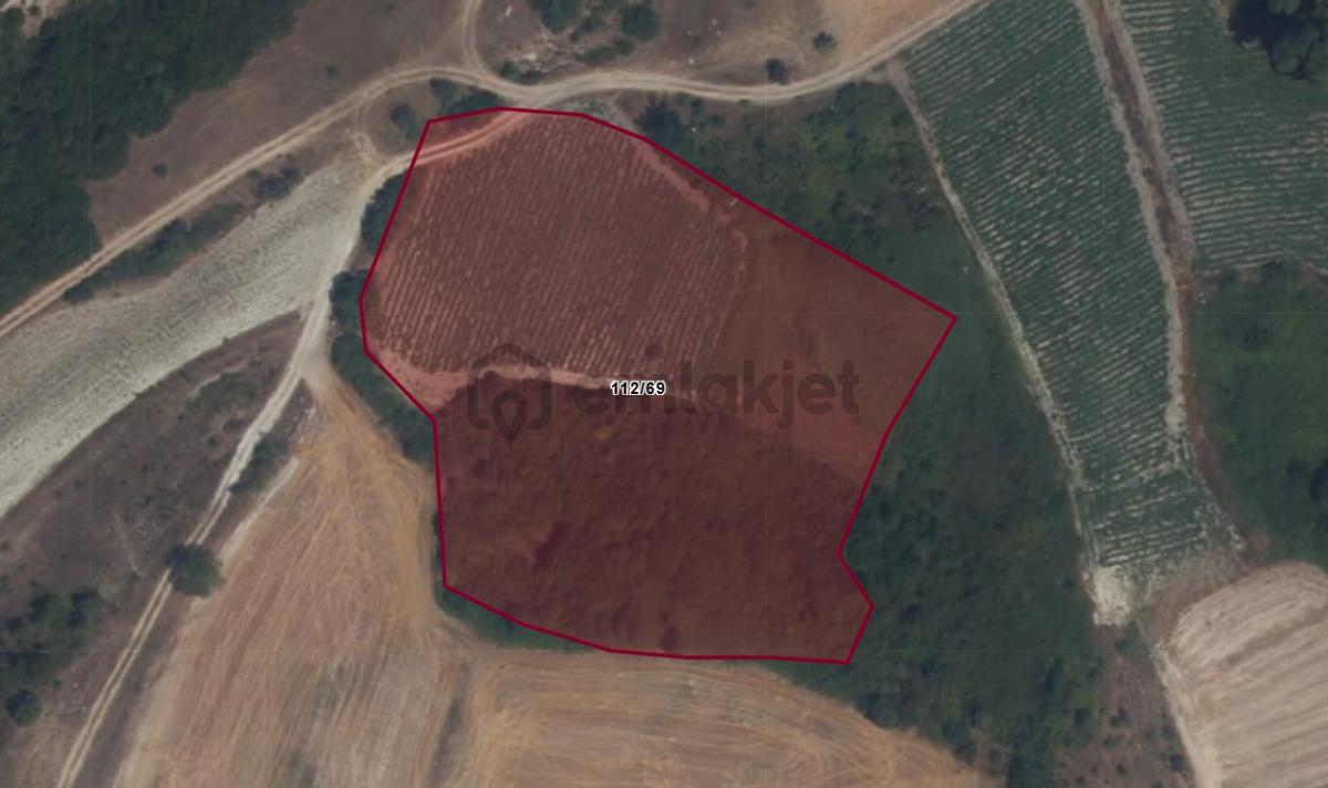 El/ya' Dan Bigadiç Çağış 6910 M2 Tarla - 5