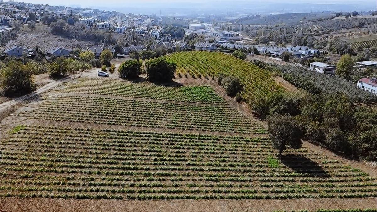 Bursa Mudanya Mürselde Eşsiz Arazi - 21