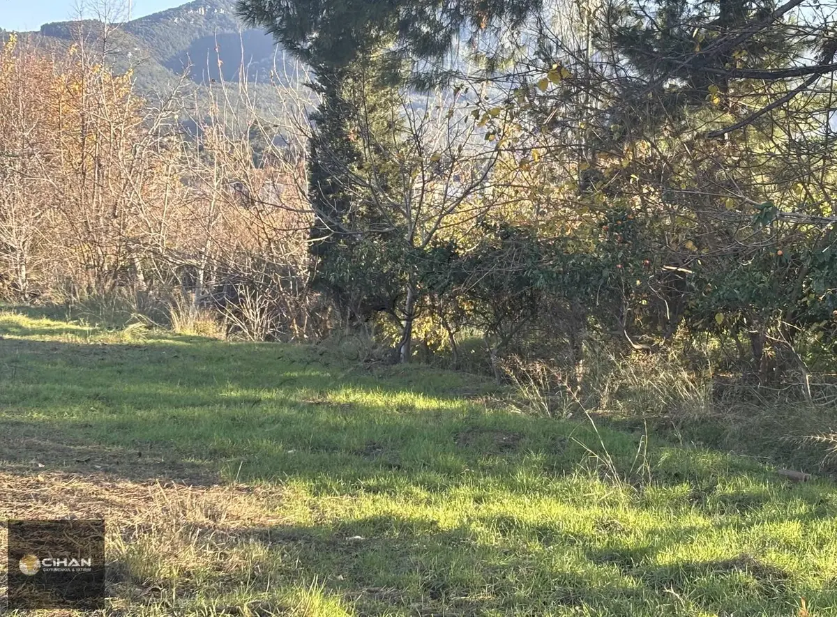 Kuşadası Davutlar Merkez İki Villalık Arsa - 3