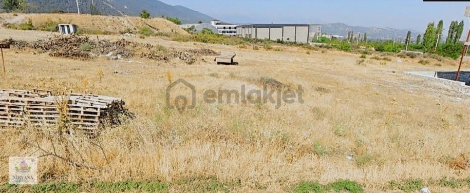 Honazda Konumu Ve Kendisi Güzel Arsa - 6