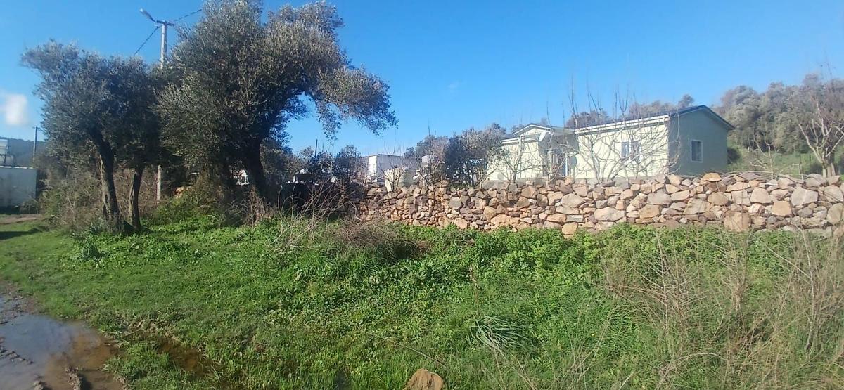 Bodrum Meşelikte 4338 M2 Çiftlik Evi İmkanı - 35