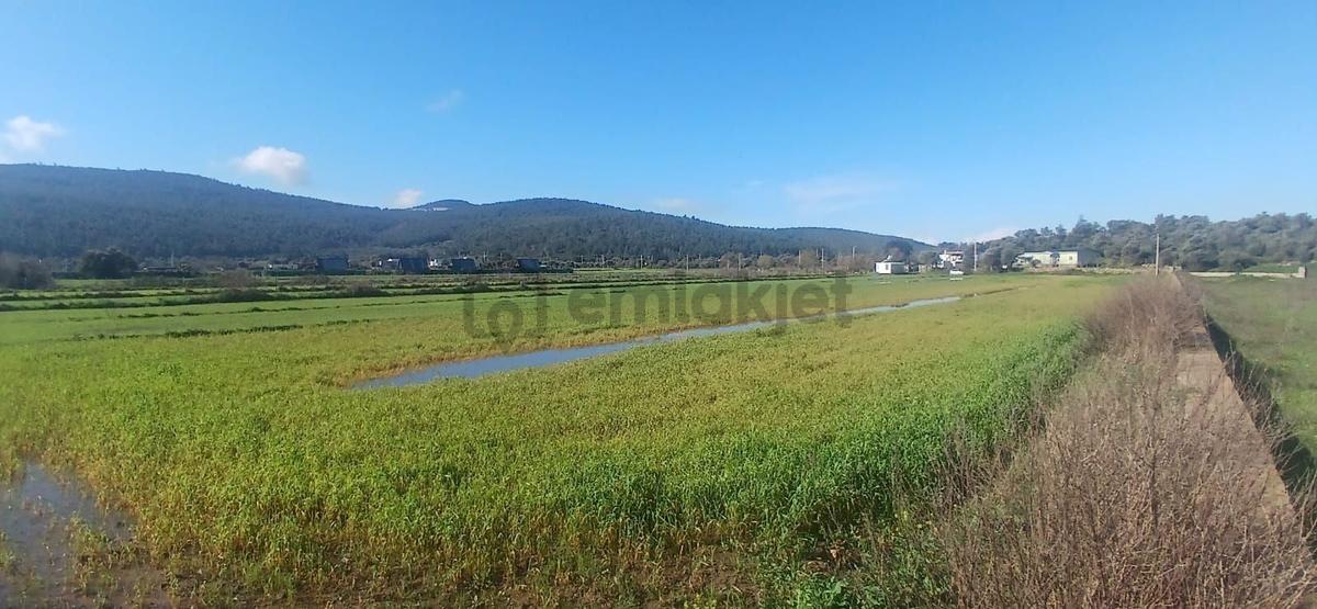 Bodrum Meşelikte 4338 M2 Çiftlik Evi İmkanı - 10