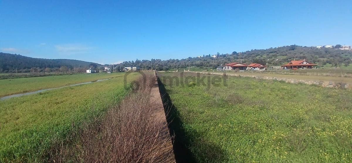 Bodrum Meşelikte 4338 M2 Çiftlik Evi İmkanı - 4