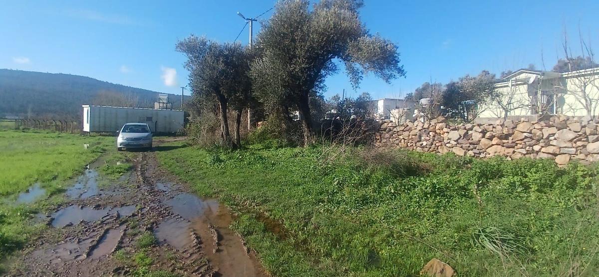 Bodrum Meşelikte 4338 M2 Çiftlik Evi İmkanı - 33