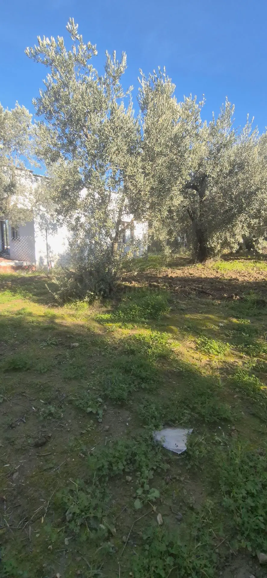 Sahibinden Eşkel Denize Yakın Arsa Hisseli Denize Yakın - 5
