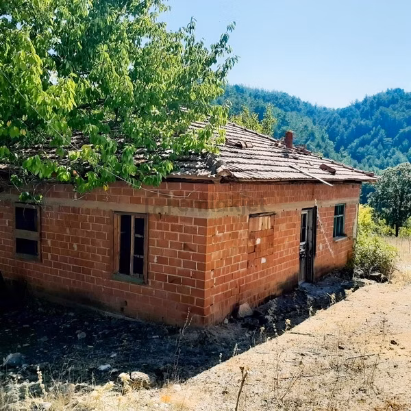 Dostlardan Acil Satılık Orman Evi Ve Arazisi