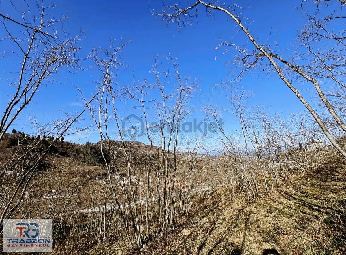 Mağmat'ta Satılık 2950m² Deniz & Doğa Manzaralı Arsa - 7