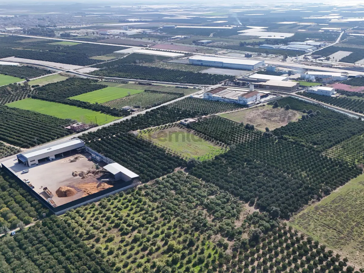 Mersin Akdeniz Sarııbrahimli Satılık Bahçe Arazi - 7