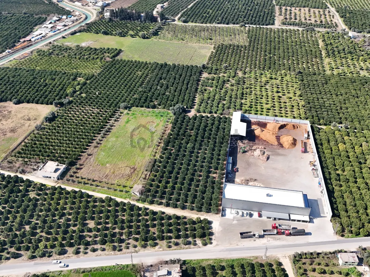 Mersin Akdeniz Sarııbrahimli Satılık Bahçe Arazi - 11
