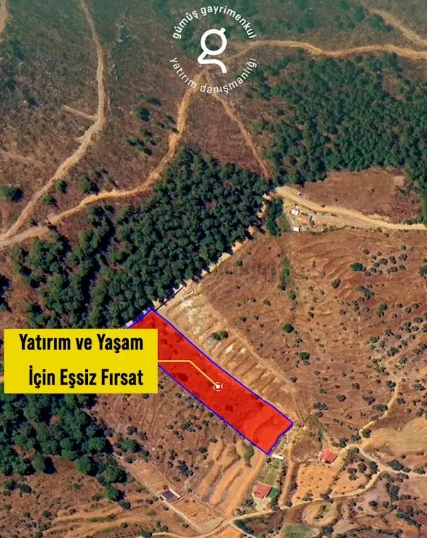 Bodrum Gökpınar Da 6420 M2 Köy İmarlı Tarla - 3