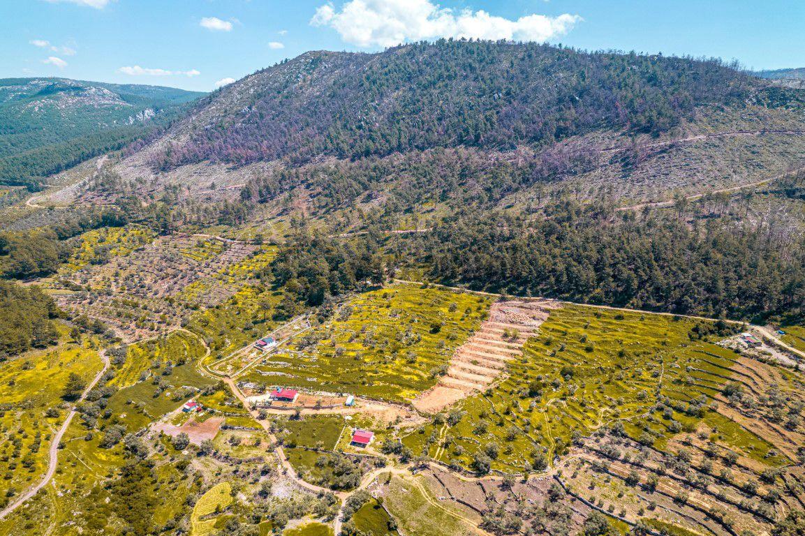 Bodrum Gökpınar Da 6420 M2 Köy İmarlı Tarla - 7