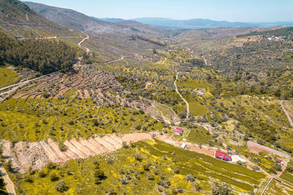 Bodrum Gökpınar Da 6420 M2 Köy İmarlı Tarla - 6