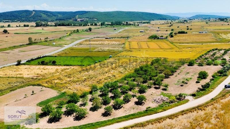 Keşan Mecidiye'de Satılık Ceviz Bahçesi - 5.537 M² - 15