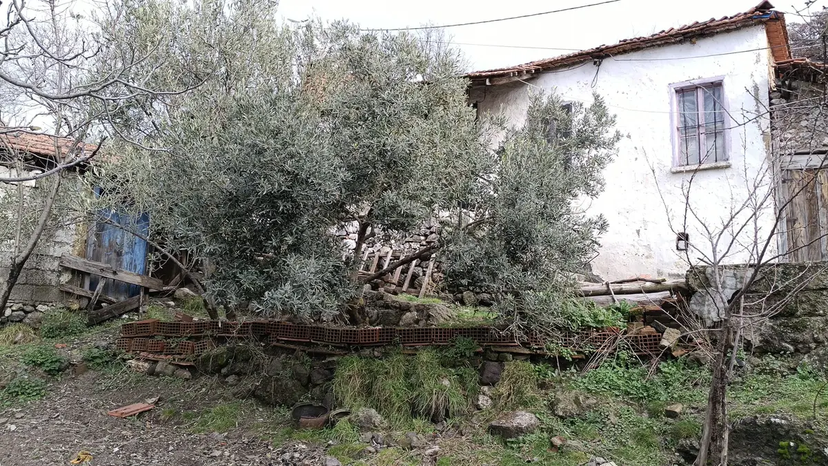 Karalar Köyünde 588 M2 Oturulabilir Müstakil Köy Evi - 14