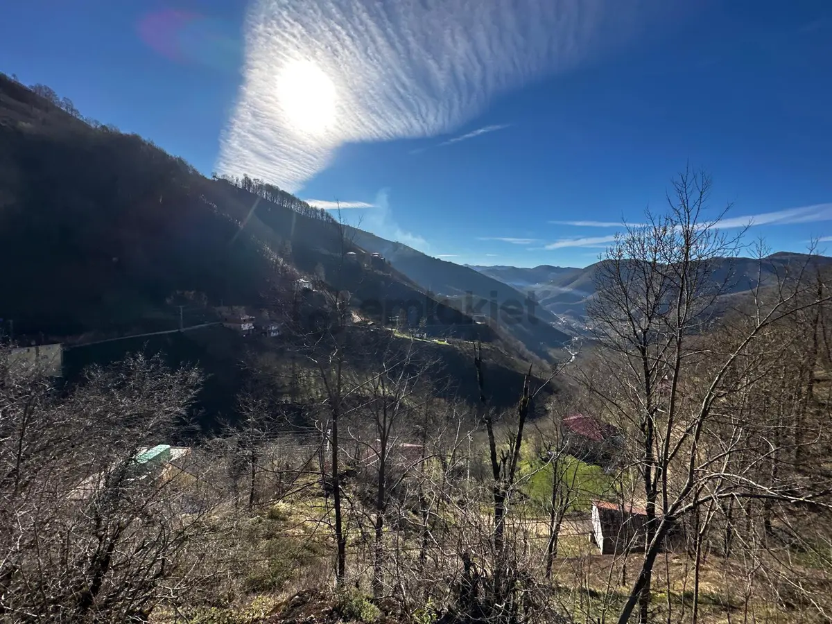 Ordu Gölköy'de Satılık Arazi - 22