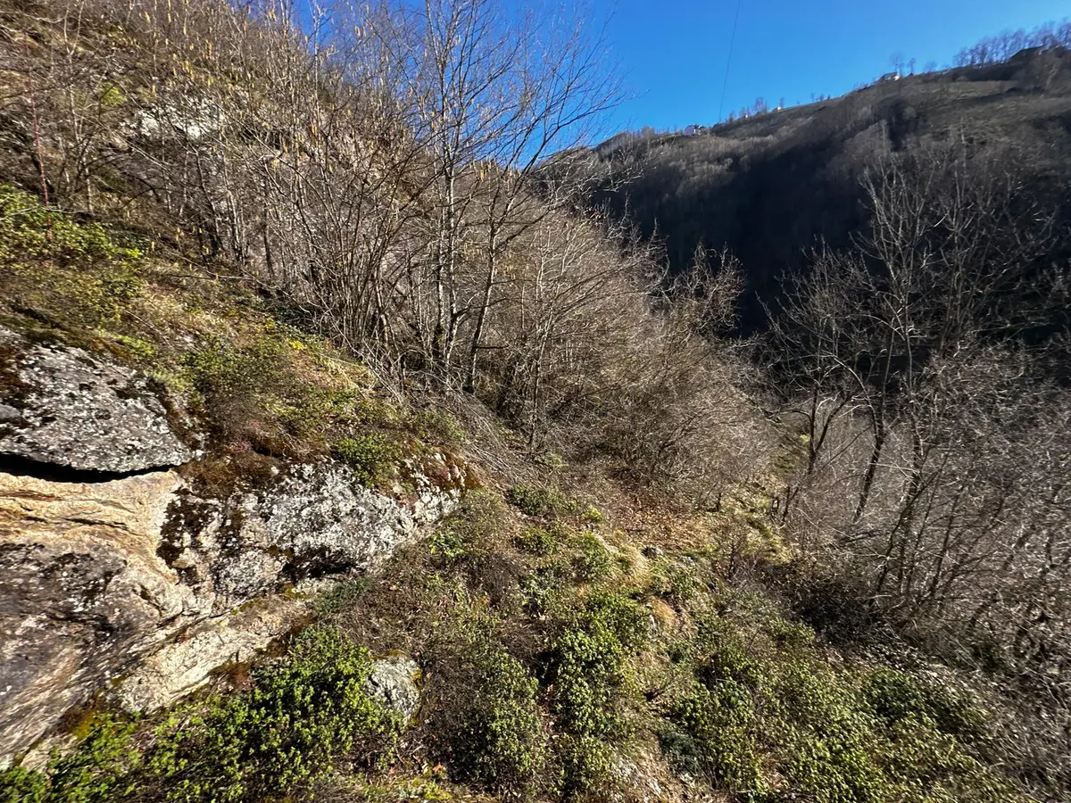 Ordu Gölköy'de Satılık Arazi - 26