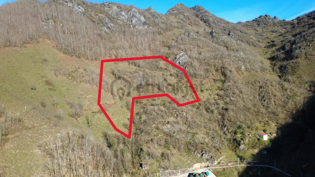 Ordu Gölköy'de Satılık Arazi - 9