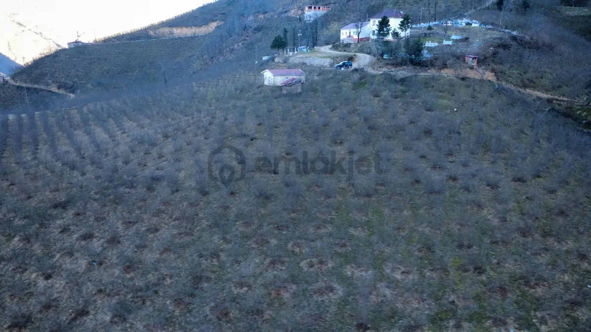 Ordu Gölköy'de Satılık Arazi - 23