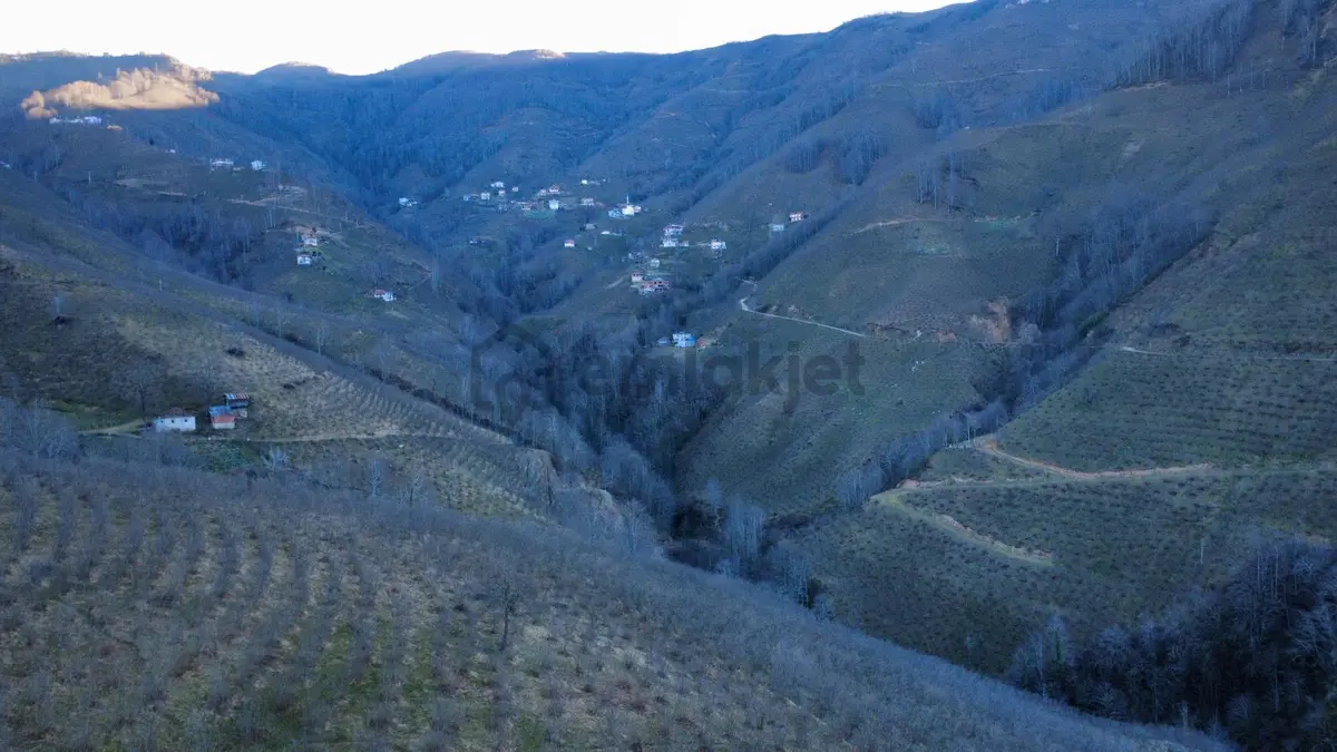 Ordu Gölköy'de Satılık Arazi - 28