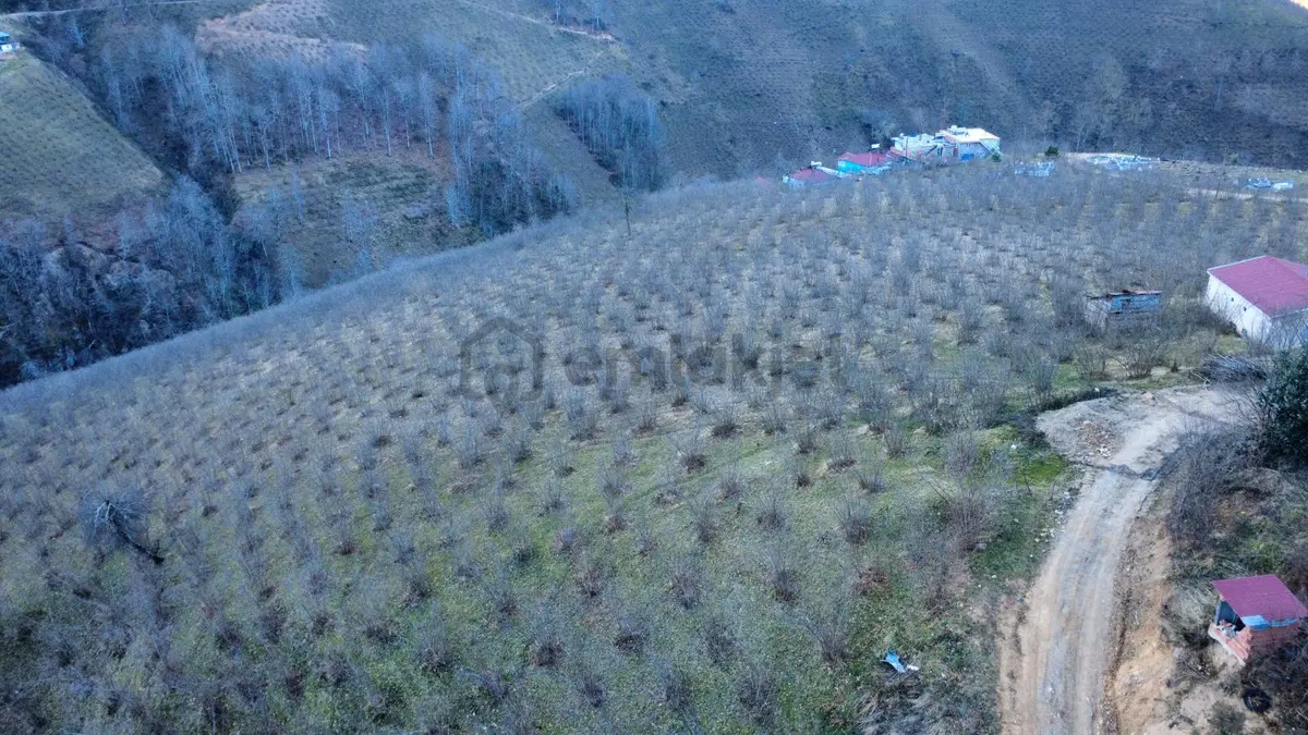Ordu Gölköy'de Satılık Arazi - 30