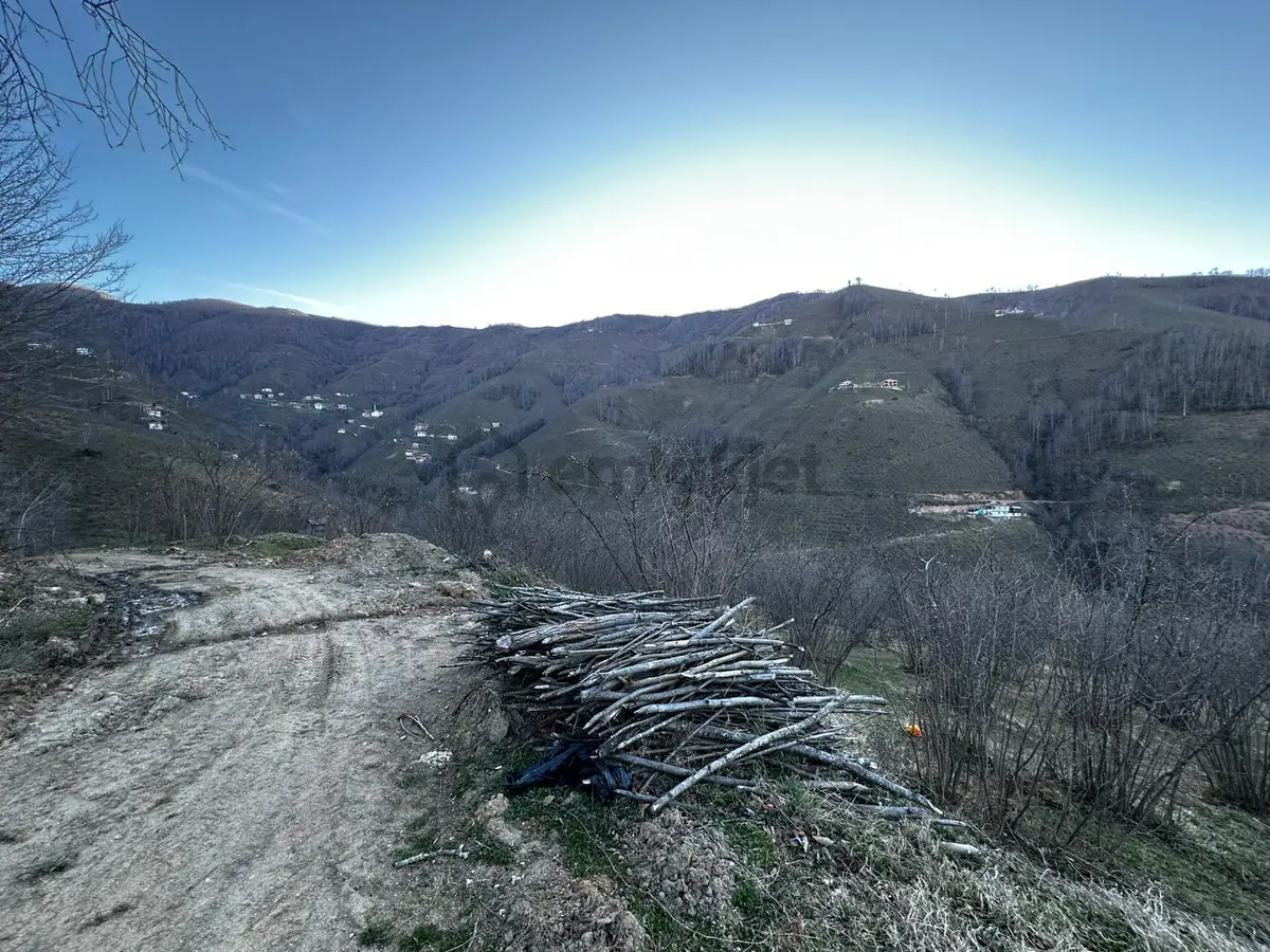 Ordu Gölköy'de Satılık Arazi - 10