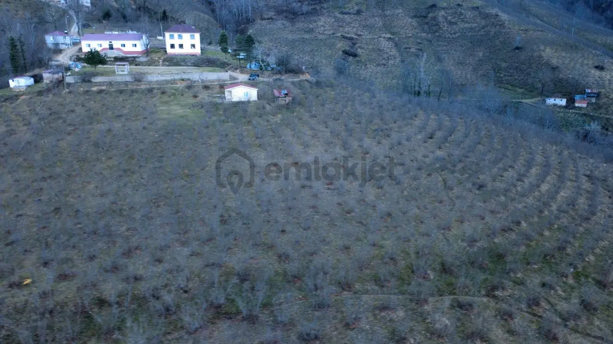 Ordu Gölköy'de Satılık Arazi - 8