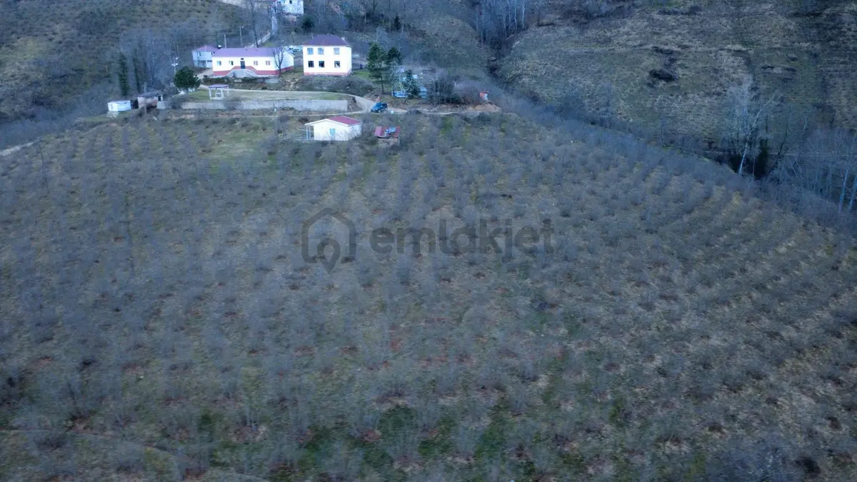 Ordu Gölköy'de Satılık Arazi - 26