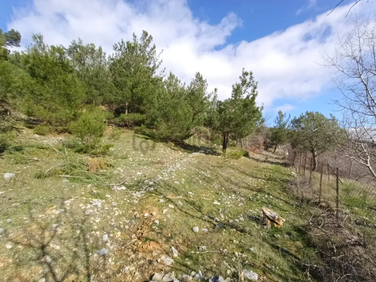 Çamoba Köyünde %50 2 Kat İmarlı 734 M2 Arsa - 6