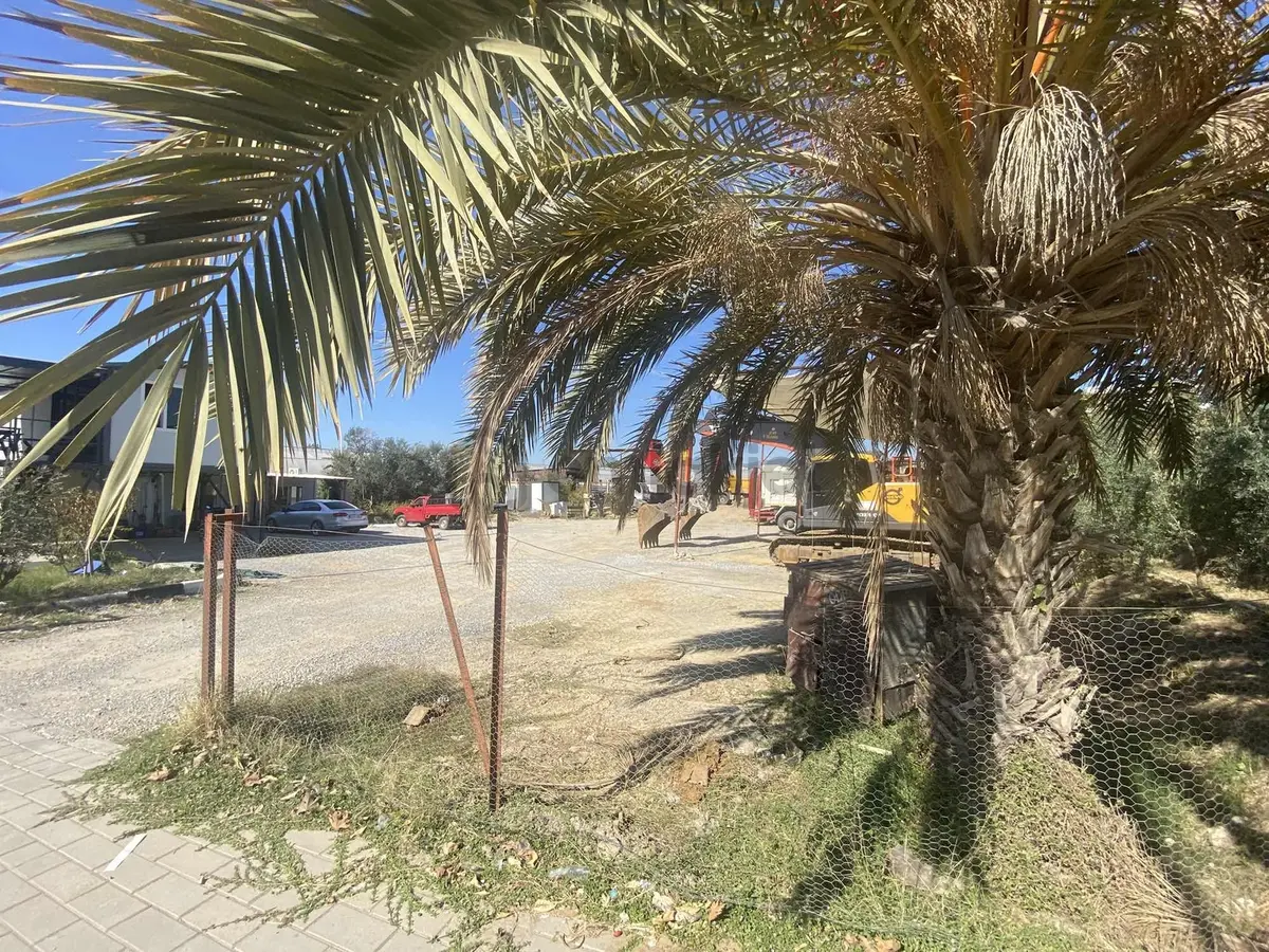Alanya Payallar'da Anayola Sıfır Denize 400 Mt Yatırımlık Tarla - 5