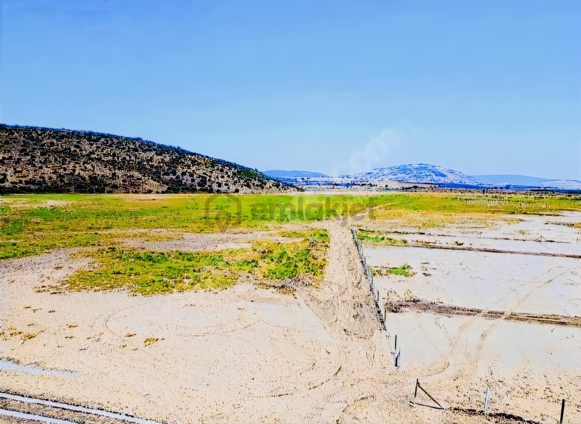 Foça Yeni Bağarasında Tarla - 4