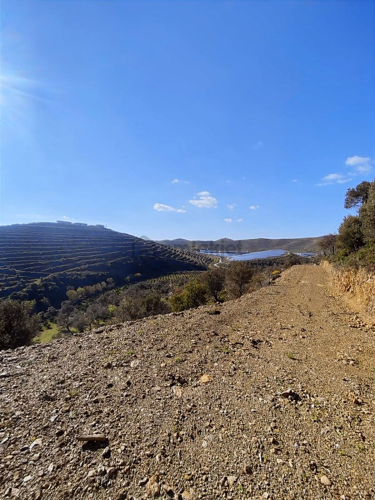 Seferihisar Turabiye Mah 224 M2 Hobi Bahçesi - 14