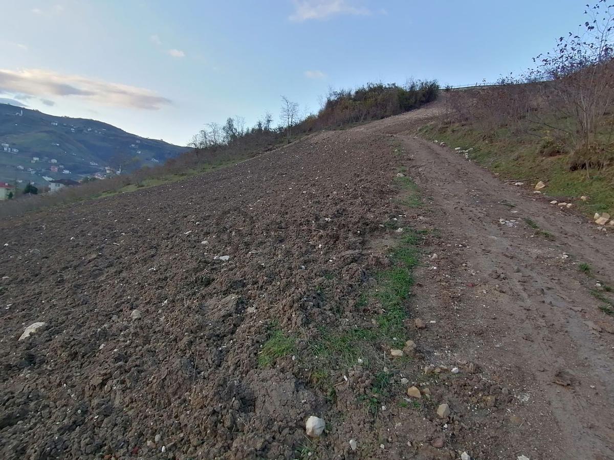 Trabzon Uğurlu Satılık Villalık Arsa - 5