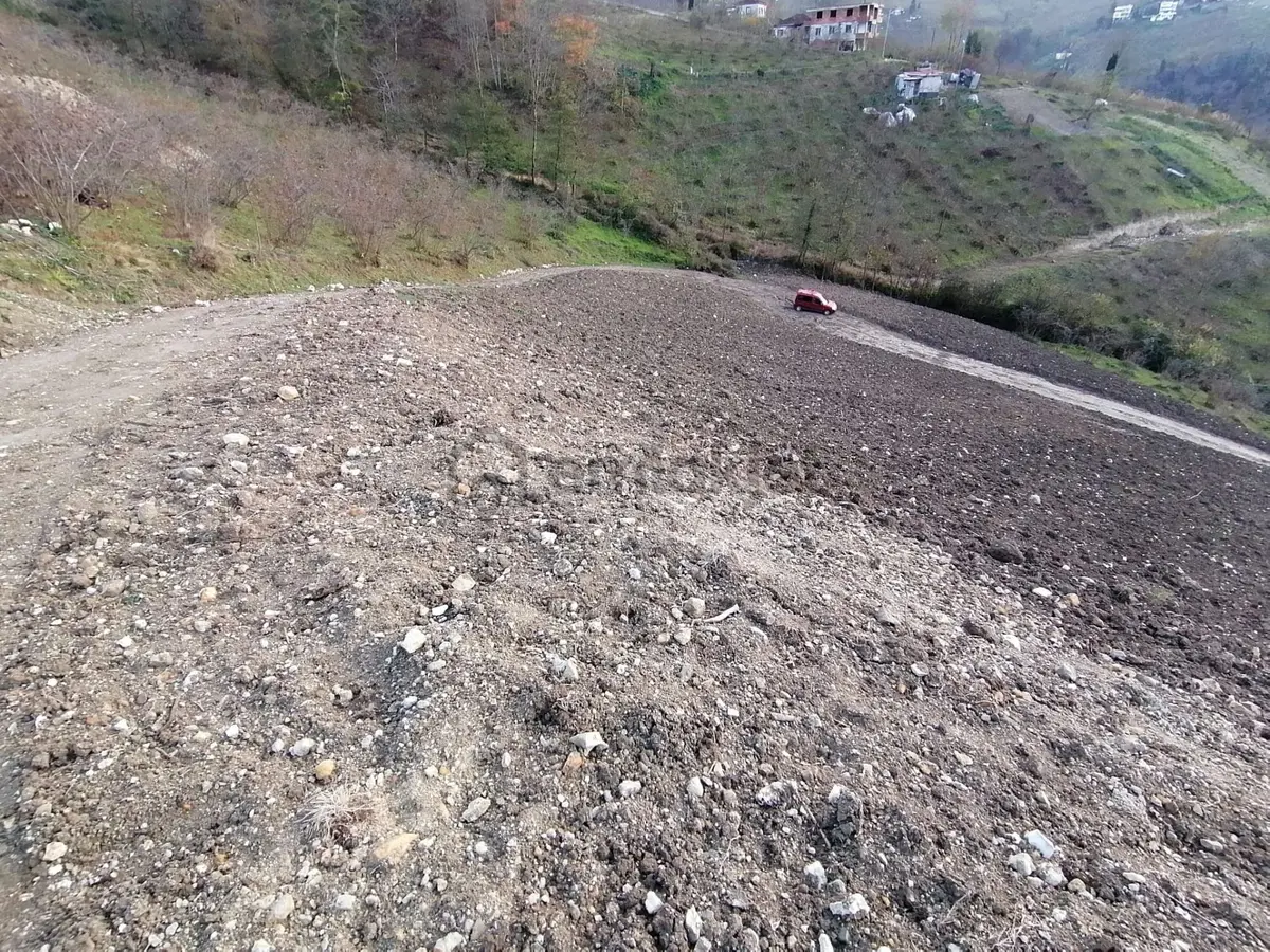 Trabzon Uğurlu Satılık Villalık Arsa - 14