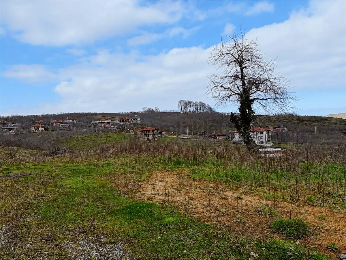 Sakarya Kocaali Kozluk 511 M2 Manzaralı Muhteşem Arsa - 10