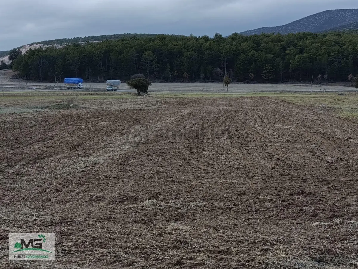 Kütahya Altıntaş Pınarcık Kelepir Arsa - 26