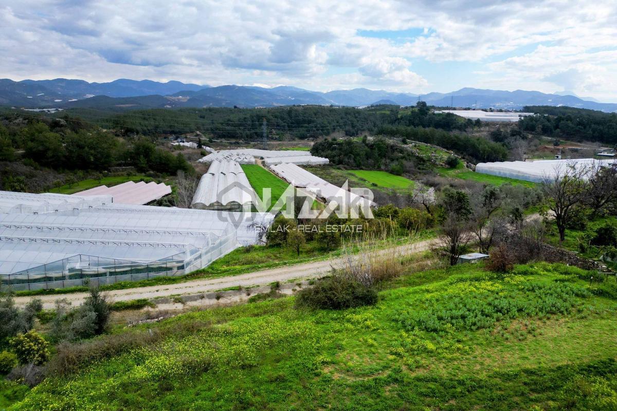 Alanya Türkler’de 3.059 M² Satılık Tarla Ve 2+1 Ev - 9