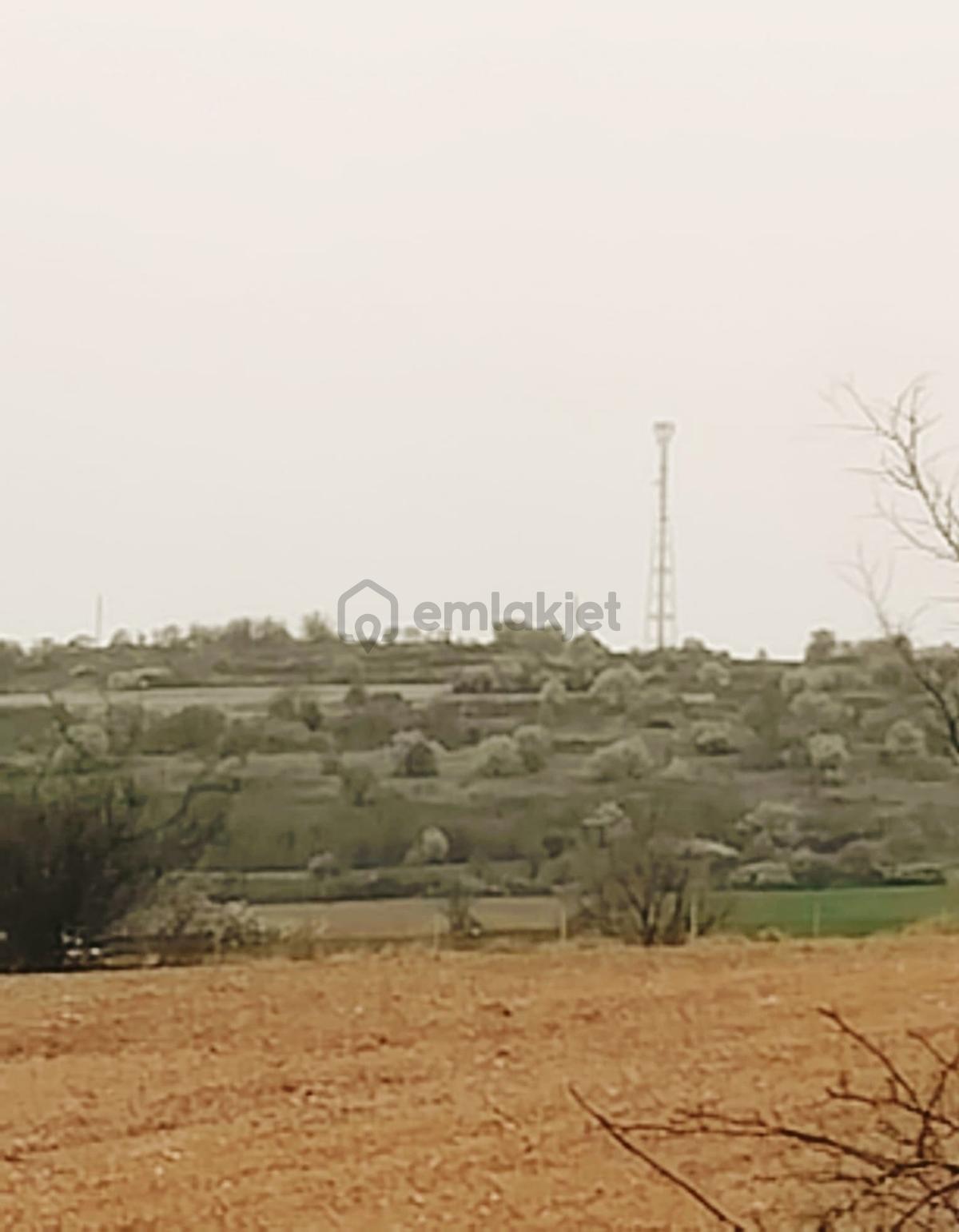 Resmi Yola Cephe İmara 800 Metre Çiftliğe Komşu 4530 M² - 23