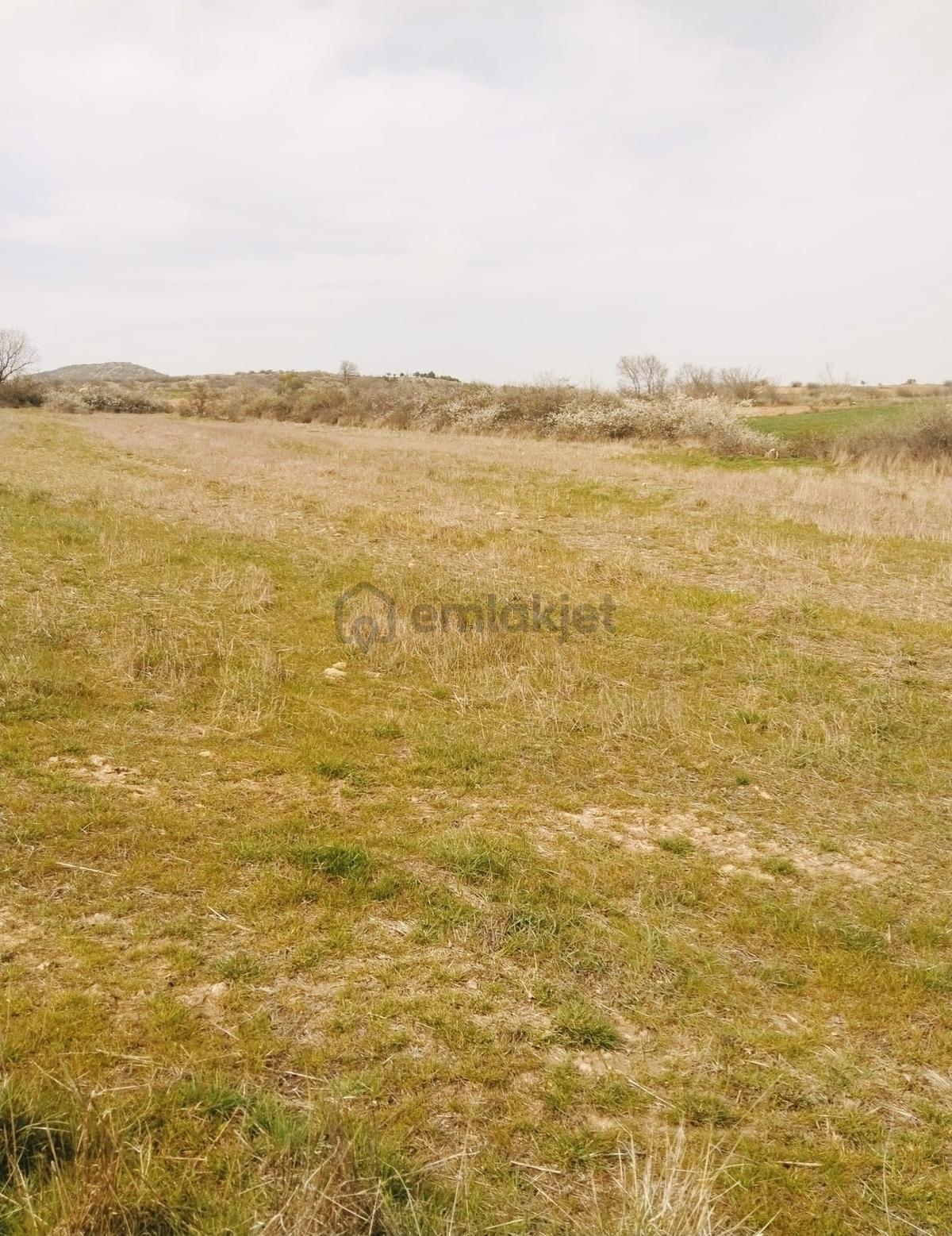 Resmi Yola Cephe İmara 800 Metre Çiftliğe Komşu 4530 M² - 26