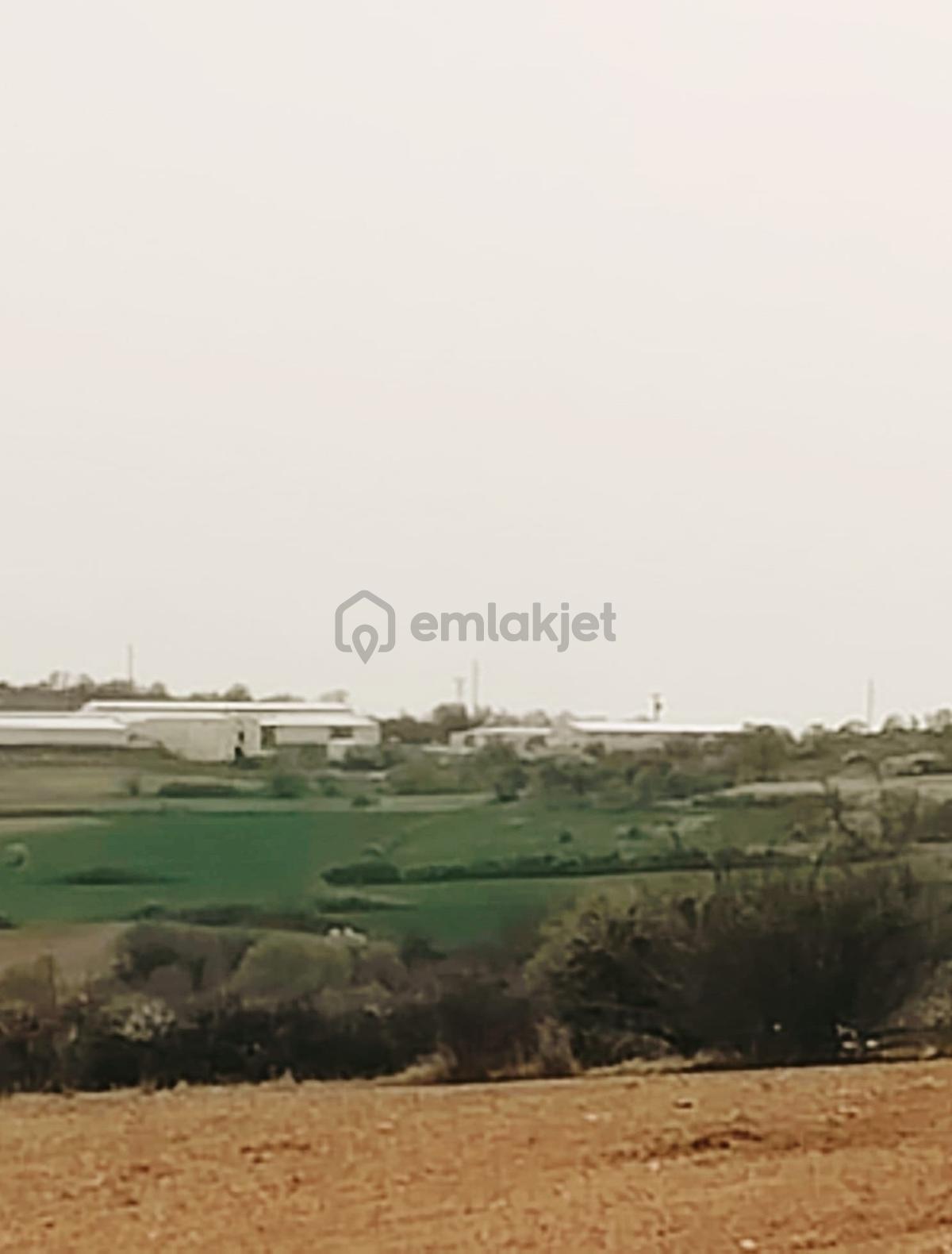 Resmi Yola Cephe İmara 800 Metre Çiftliğe Komşu 4530 M² - 12