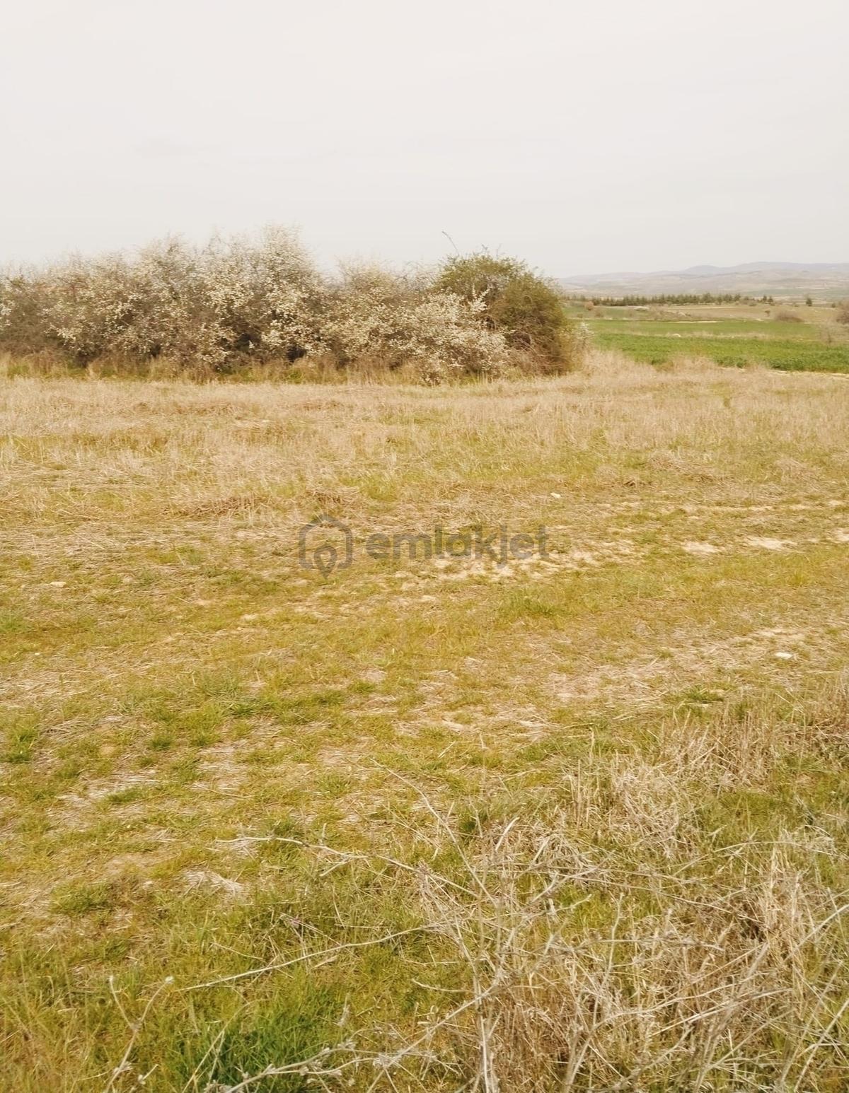 Resmi Yola Cephe İmara 800 Metre Çiftliğe Komşu 4530 M² - 21