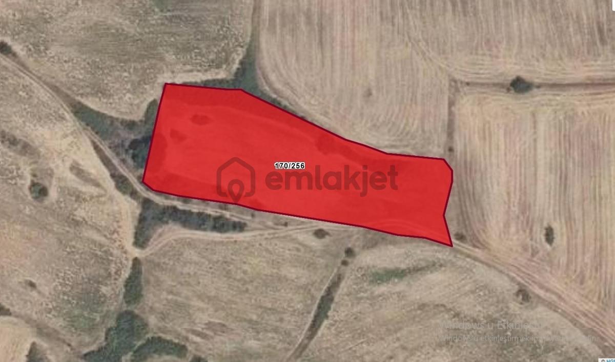 Resmi Yola Cephe İmara 800 Metre Çiftliğe Komşu 4530 M² - 16