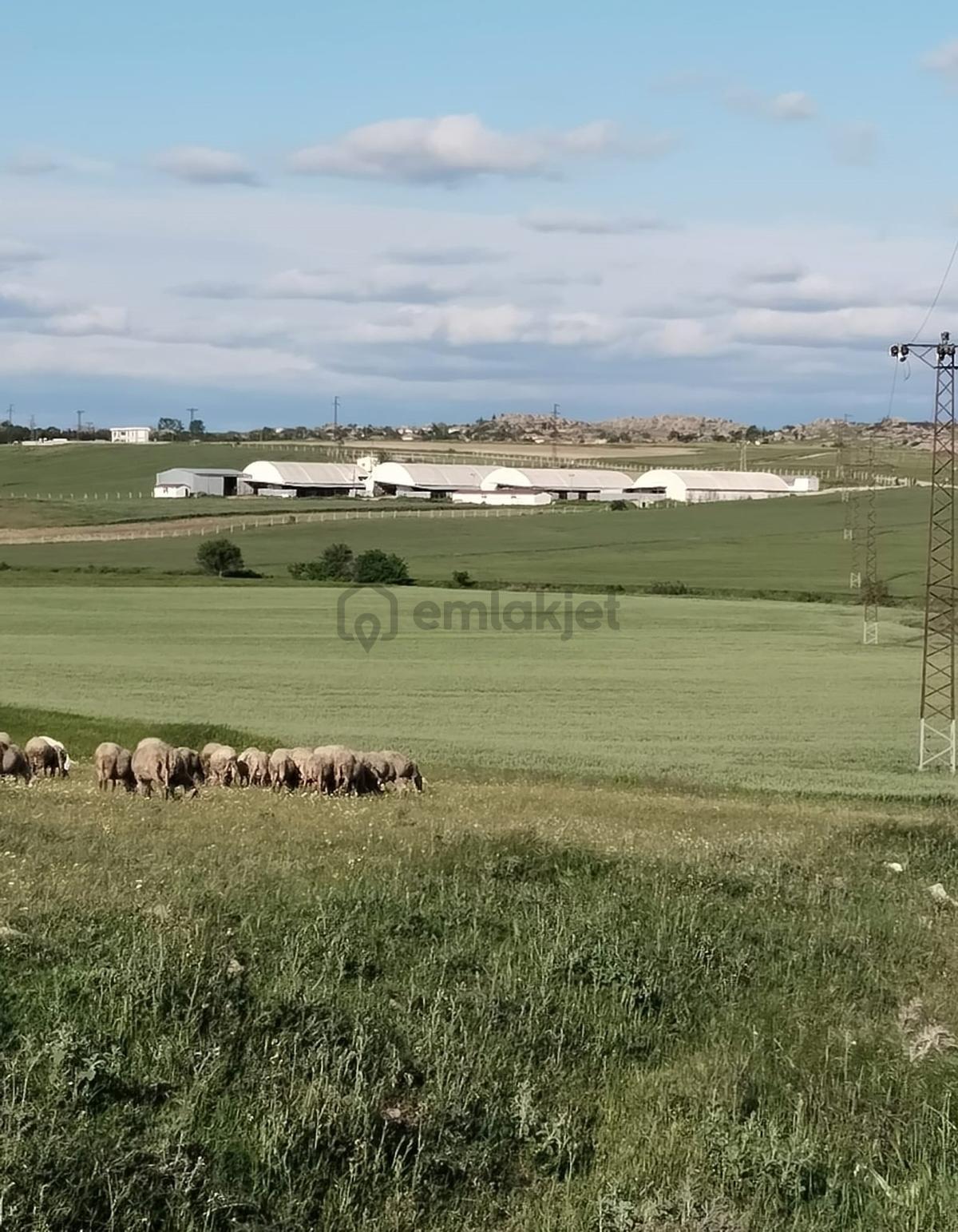Resmi Yola Cephe İmara 800 Metre Çiftliğe Komşu 4530 M² - 11