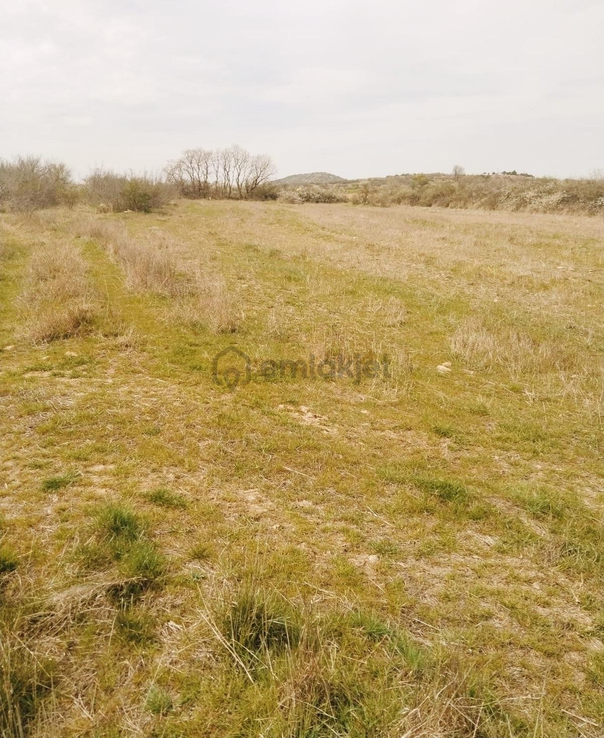 Resmi Yola Cephe İmara 800 Metre Çiftliğe Komşu 4530 M² - 22