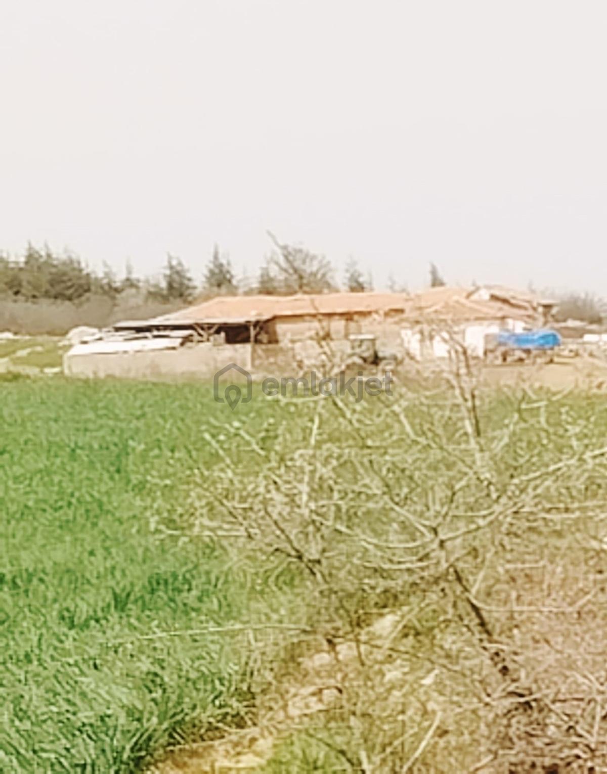 Resmi Yola Cephe İmara 800 Metre Çiftliğe Komşu 4530 M² - 14