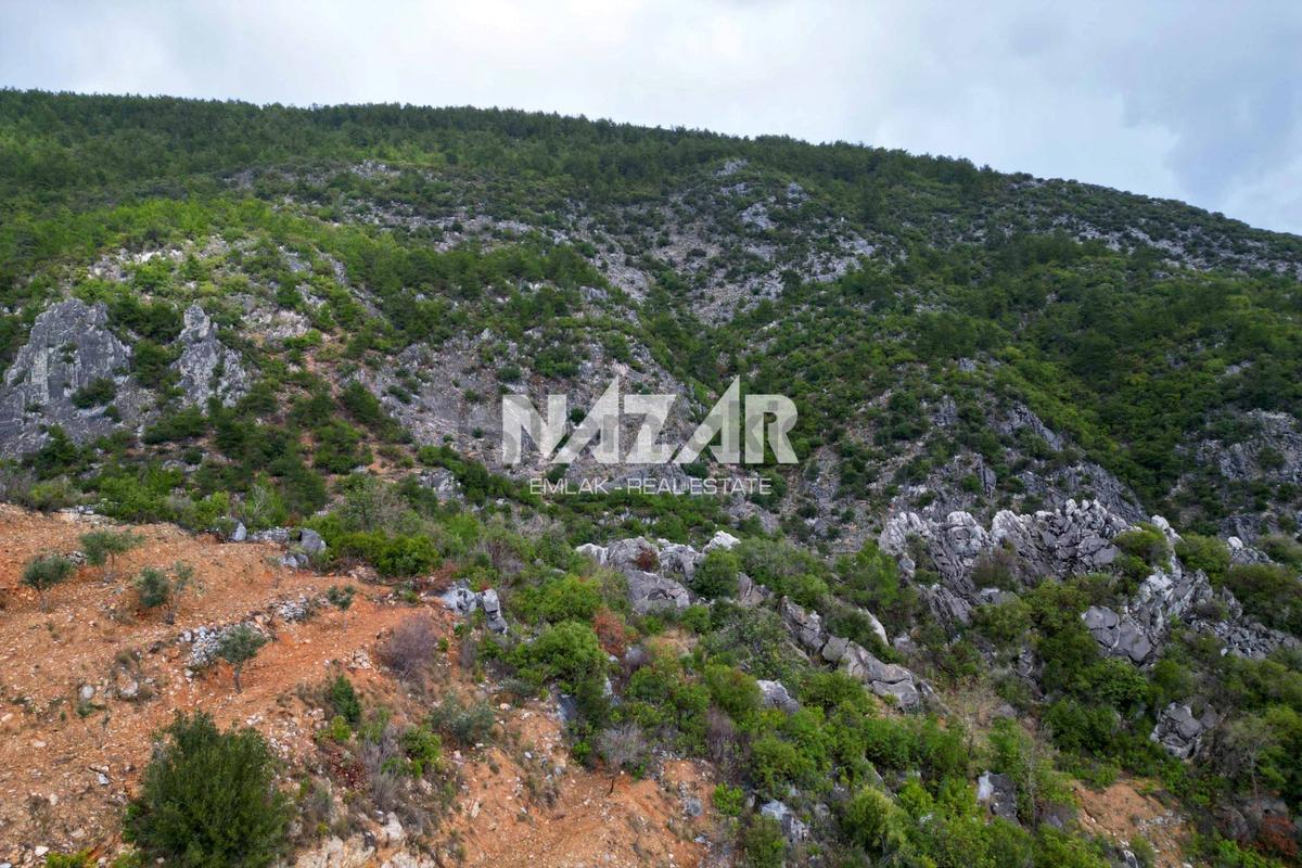 Alanya Kocaoğlanlı’da 1.845 M² Satılık Tarla - 6