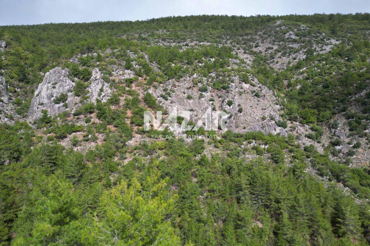 Alanya Kocaoğlanlı’da 1.845 M² Satılık Tarla - 16