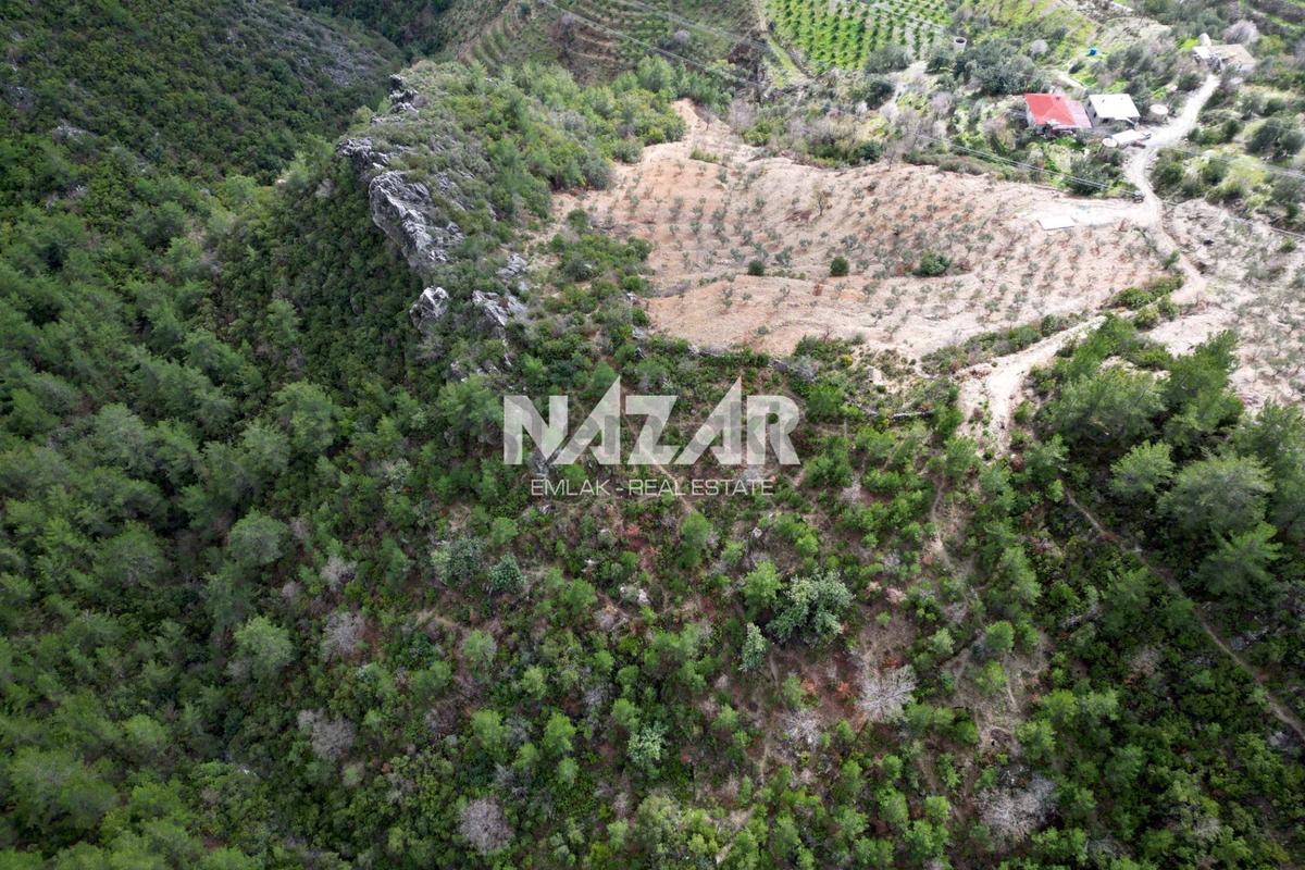Alanya Kocaoğlanlı’da 1.845 M² Satılık Tarla - 9